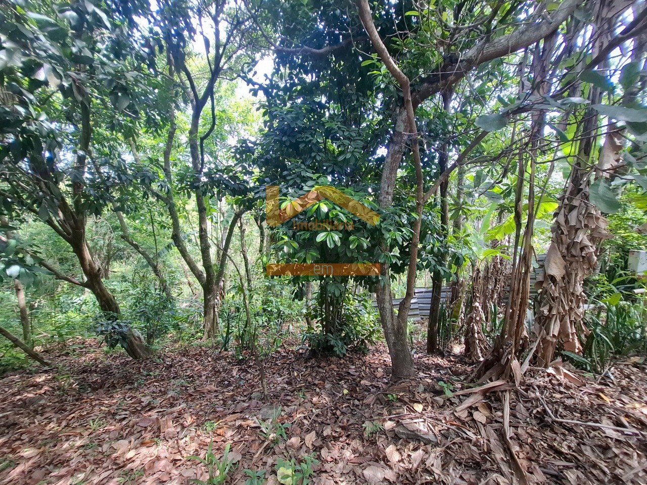 Terreno, 668 m² - Foto 10