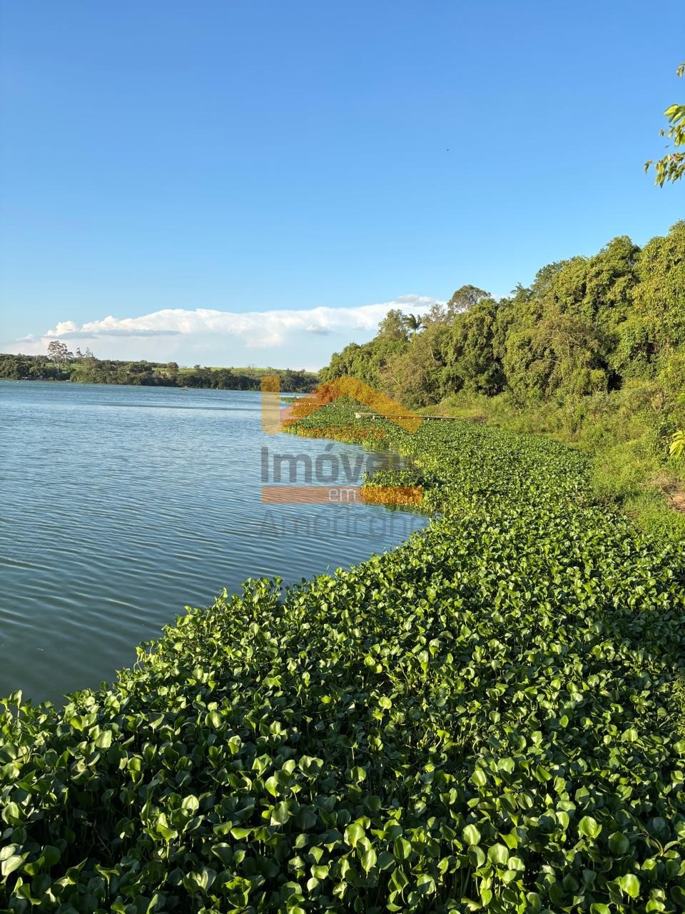 Chácara, 4 quartos, 8074 m² - Foto 38