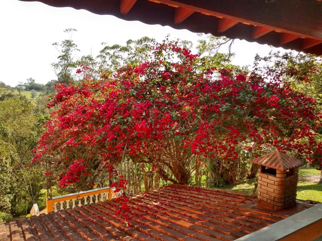 Chácara, 4 quartos, 600 m² - Foto 4