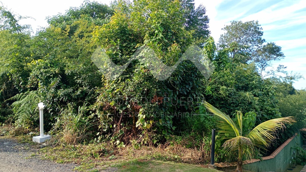 Terreno, 600 m² - Foto 3