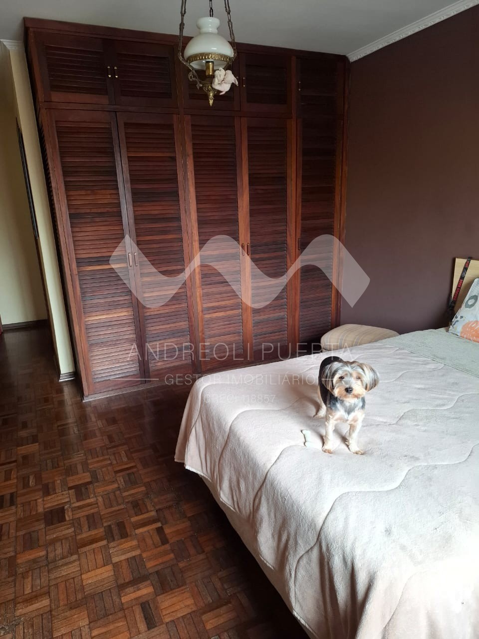 Prédio Inteiro - Foto 8