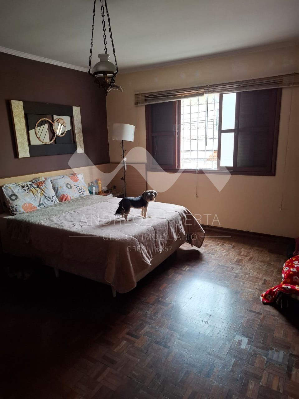 Prédio Inteiro - Foto 1