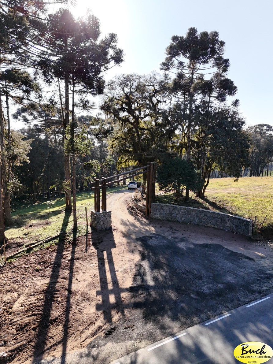 Terreno, 3 hectares - Foto 1