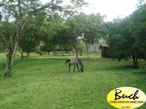 Chácara, 12 hectares - Foto 22