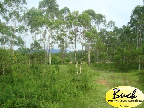 Chácara, 12 hectares - Foto 24