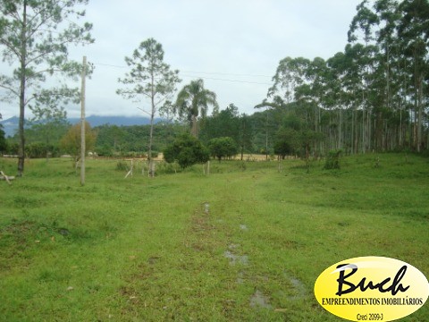 Chácara, 12 hectares - Foto 23
