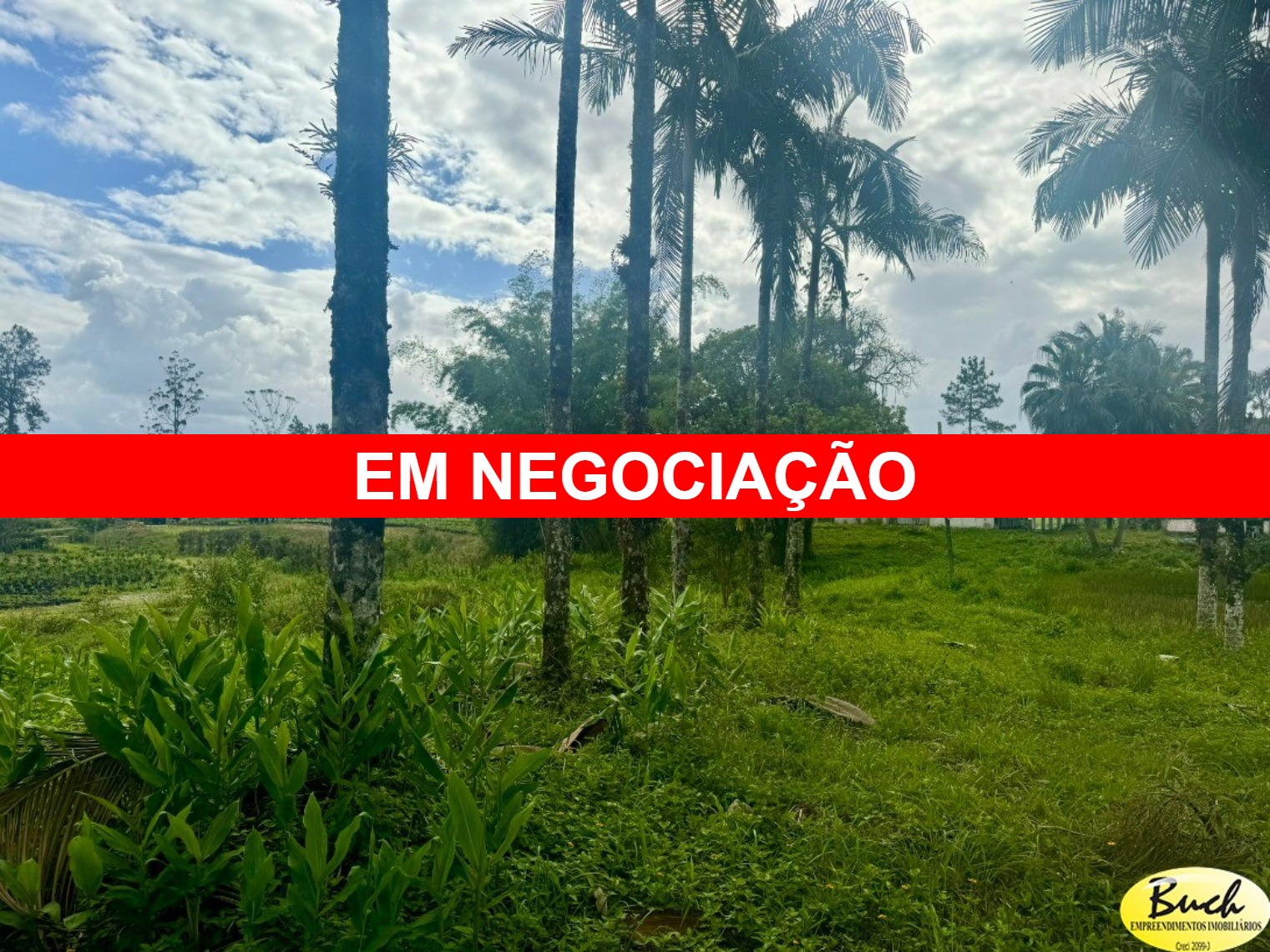 Chácara, 12 hectares - Foto 1