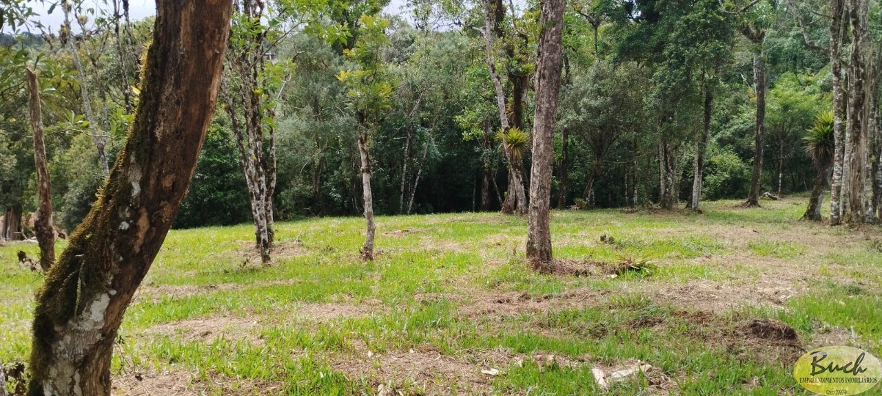 Terreno, 3 hectares - Foto 3