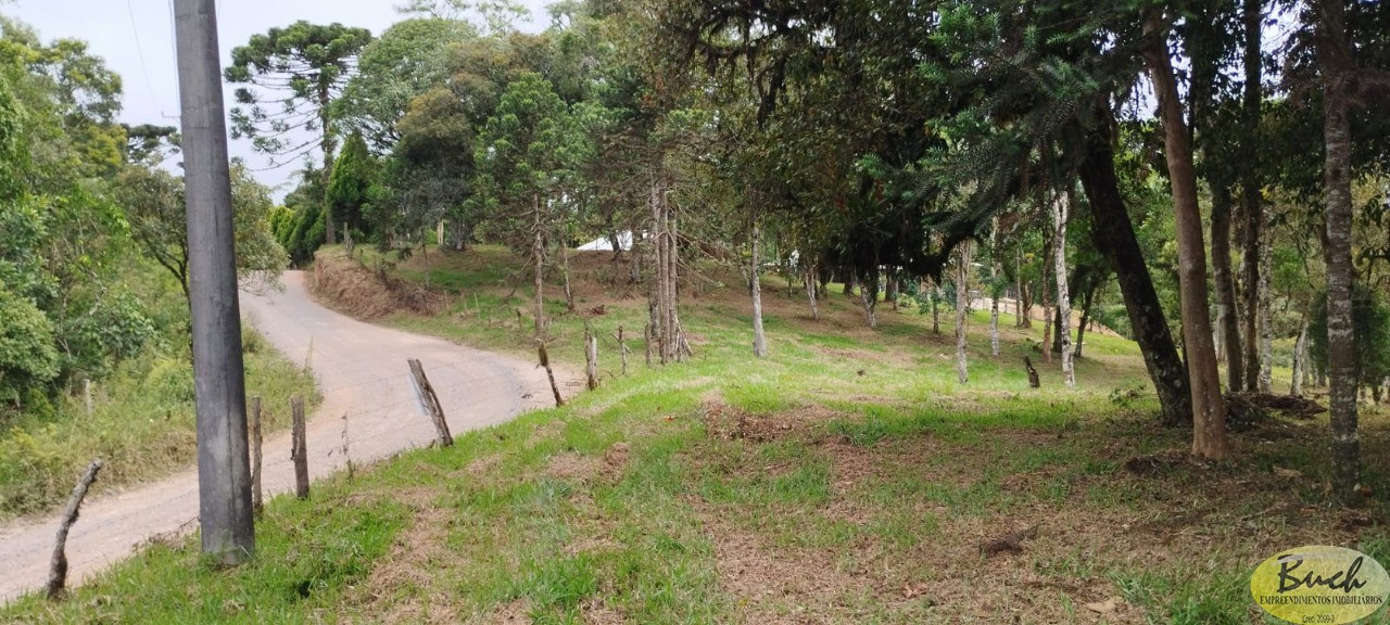 Terreno, 3 hectares - Foto 6