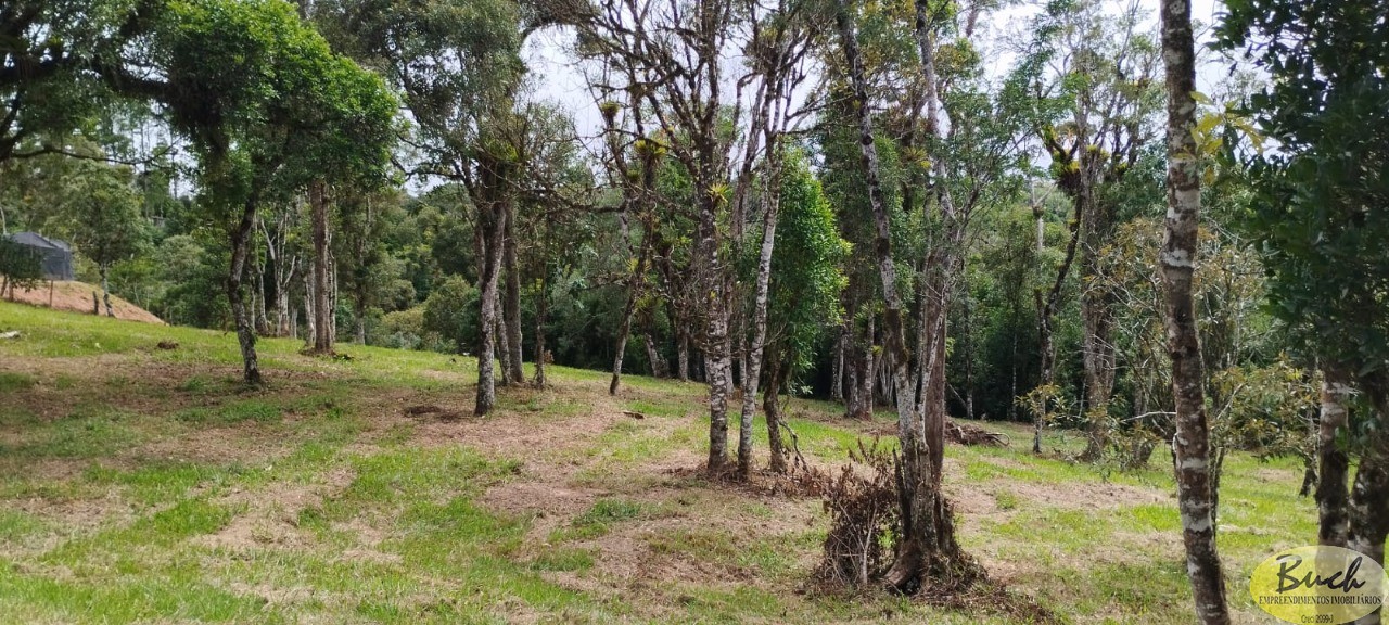 Terreno, 3 hectares - Foto 4