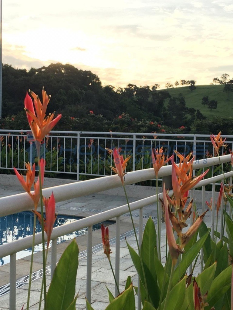 Terreno, 875 m² - Foto 4