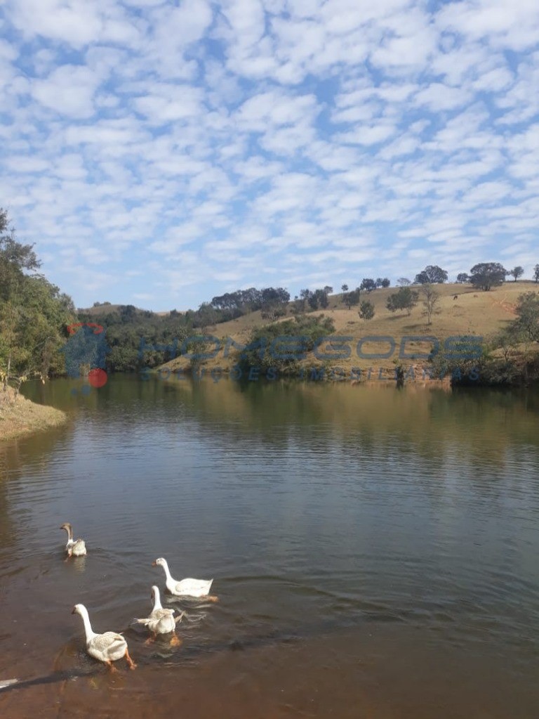 Terreno, 875 m² - Foto 7