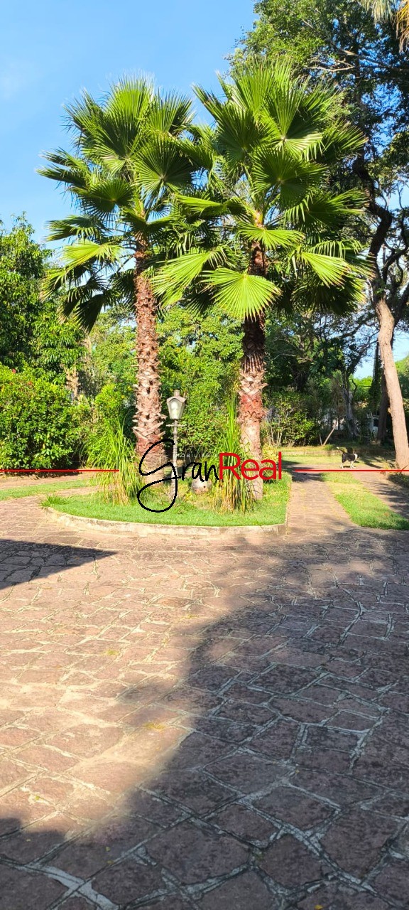 Chácara, 3 quartos, 2630 m² - Foto 31