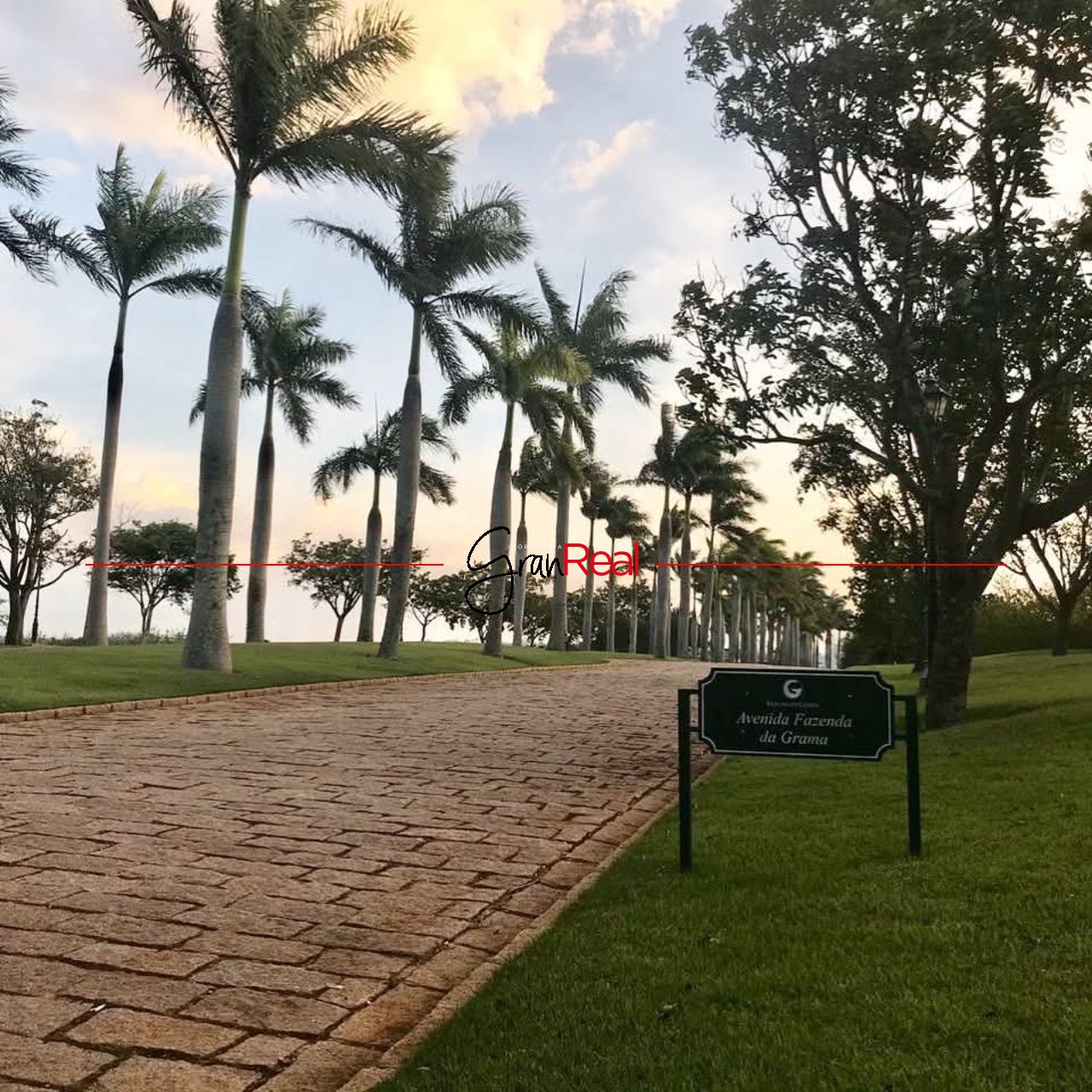 Terreno, 2500 m² - Foto 5