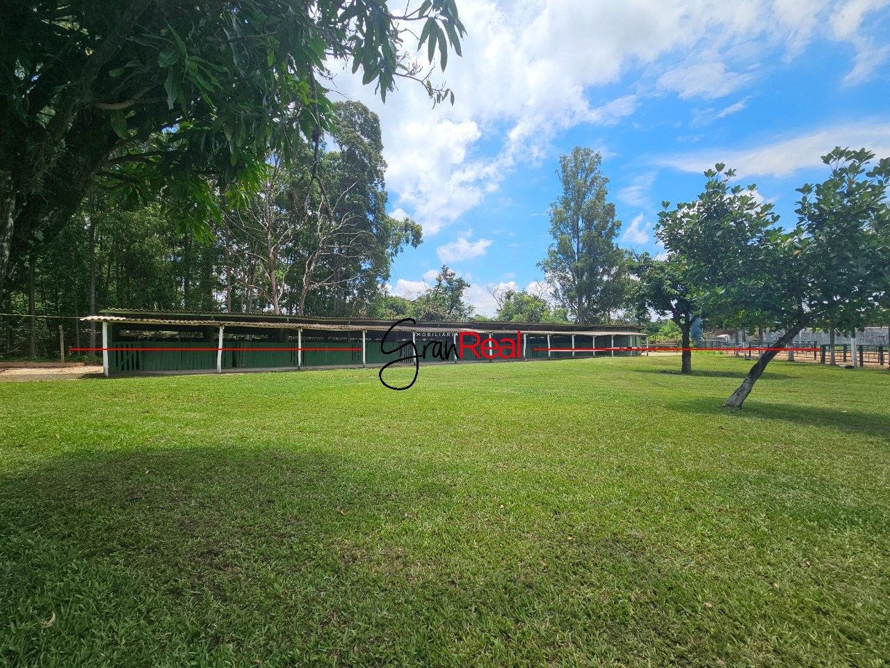 Sítio, 3 quartos, 2 hectares - Foto 16