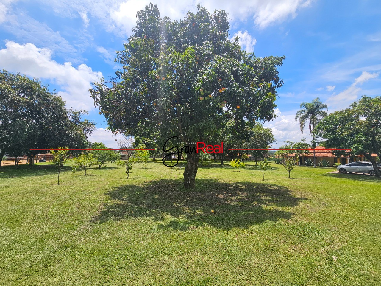 Sítio, 3 quartos, 2 hectares - Foto 43