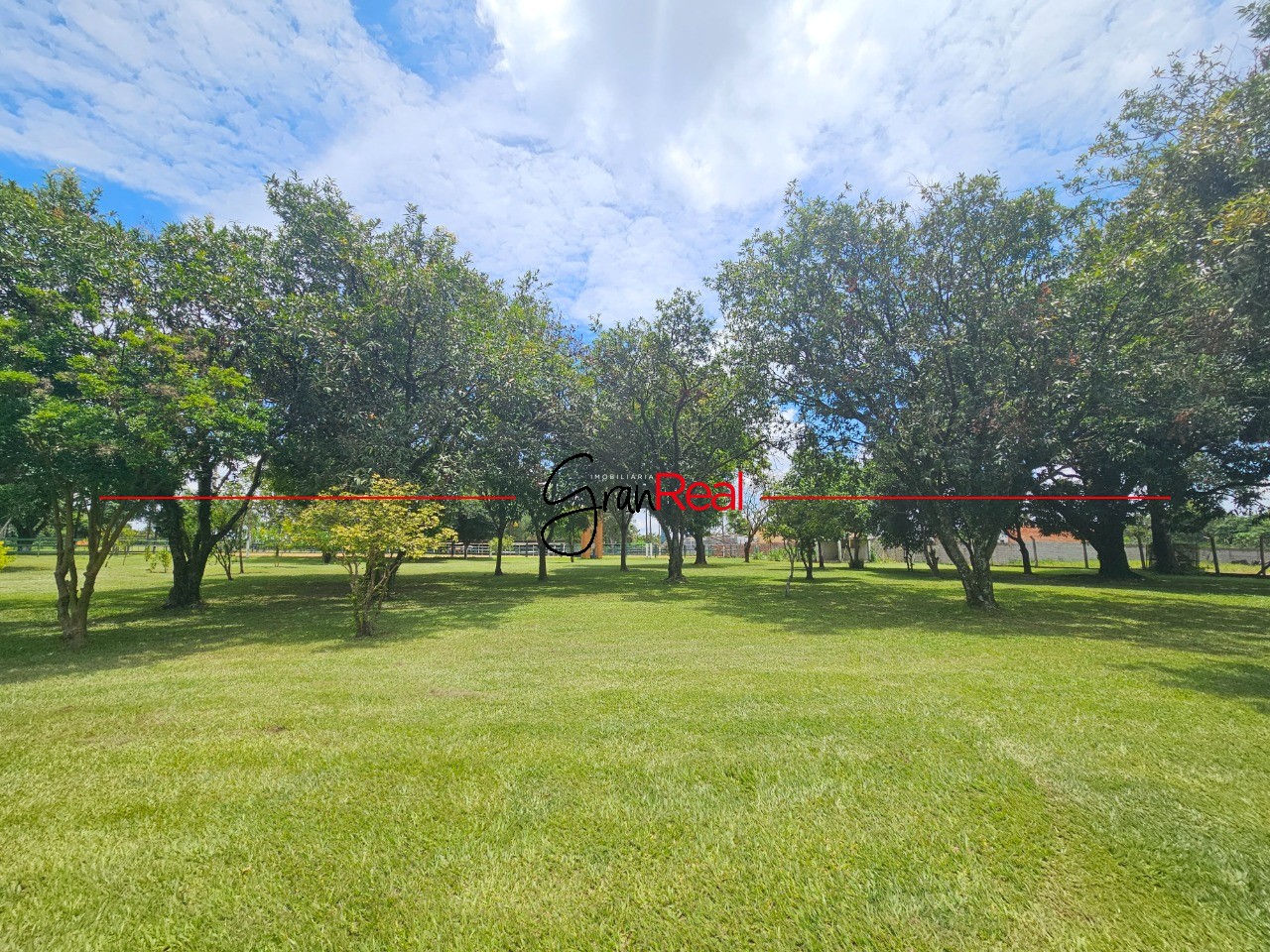 Sítio, 3 quartos, 2 hectares - Foto 39