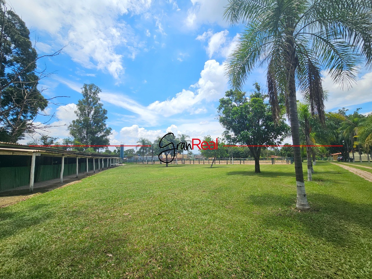 Sítio, 3 quartos, 2 hectares - Foto 18