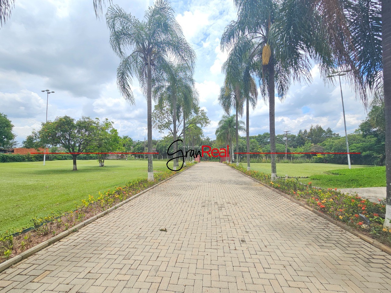 Sítio, 3 quartos, 2 hectares - Foto 4