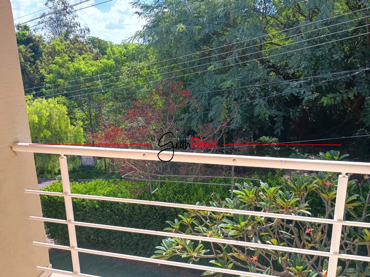 Sítio, 3 quartos, 1000 m² - Foto 42