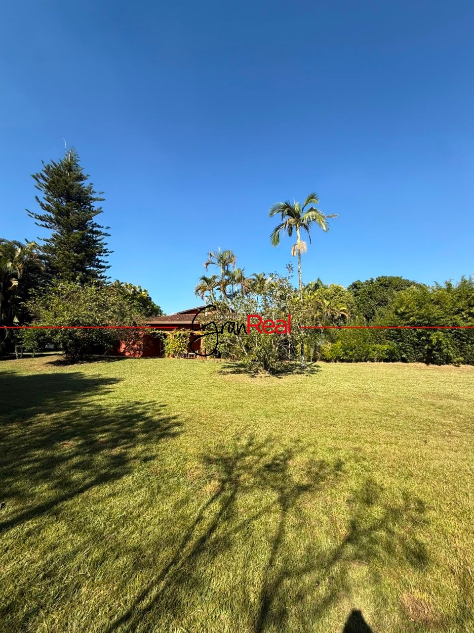 Sítio, 4 quartos, 3000 m² - Foto 3