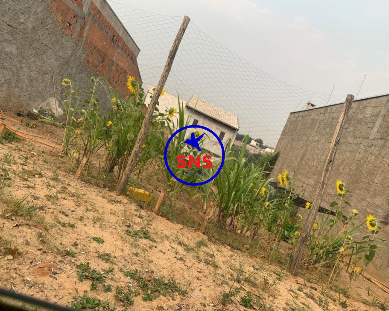 Terreno, 200 m² - Foto 6