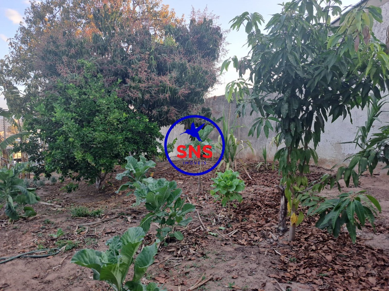 Terreno, 424 m² - Foto 8
