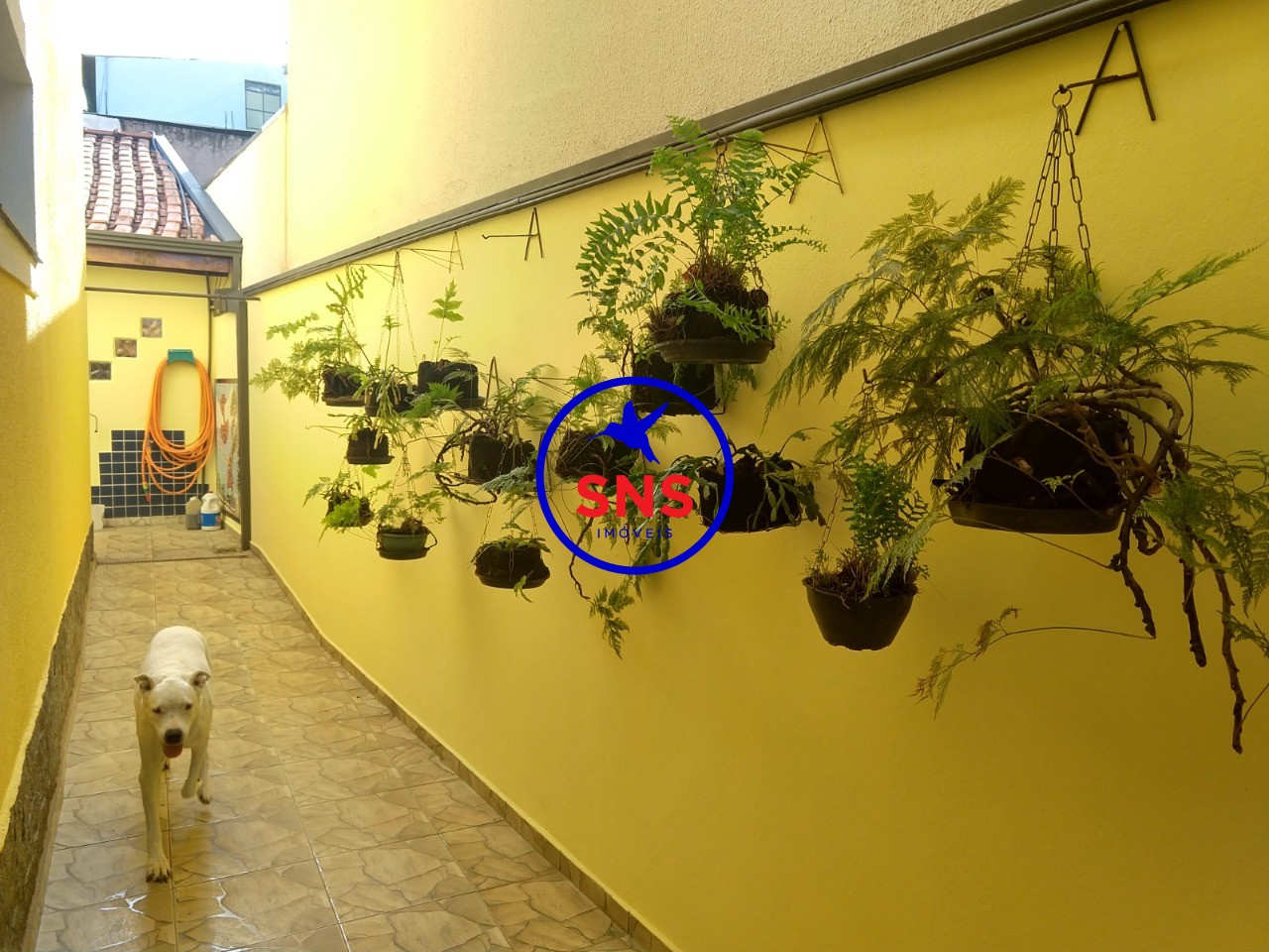 Sobrado, 5 quartos, 293 m² - Foto 36