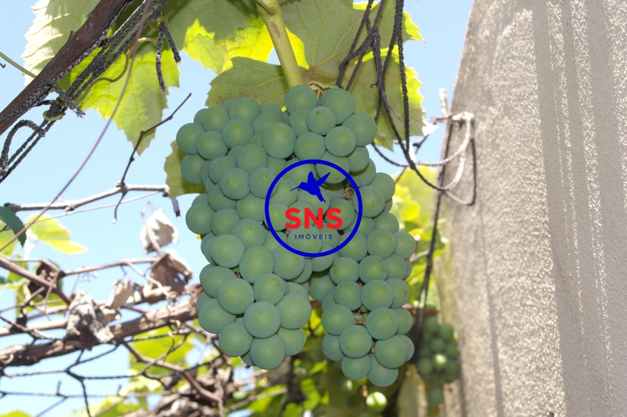 Sobrado, 5 quartos, 293 m² - Foto 38