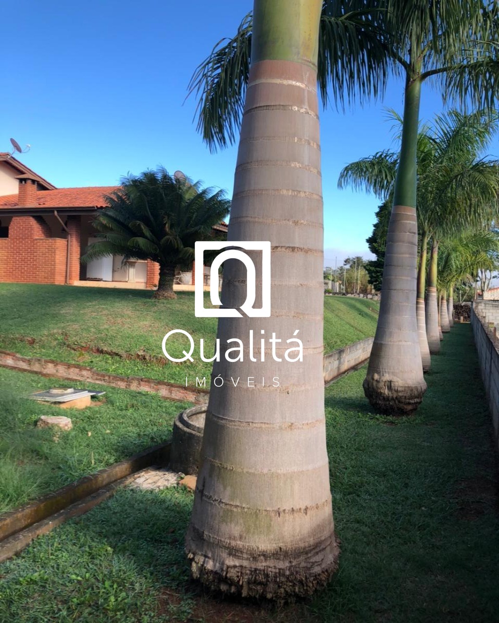 Sítio, 3 quartos, 2400 m² - Foto 26