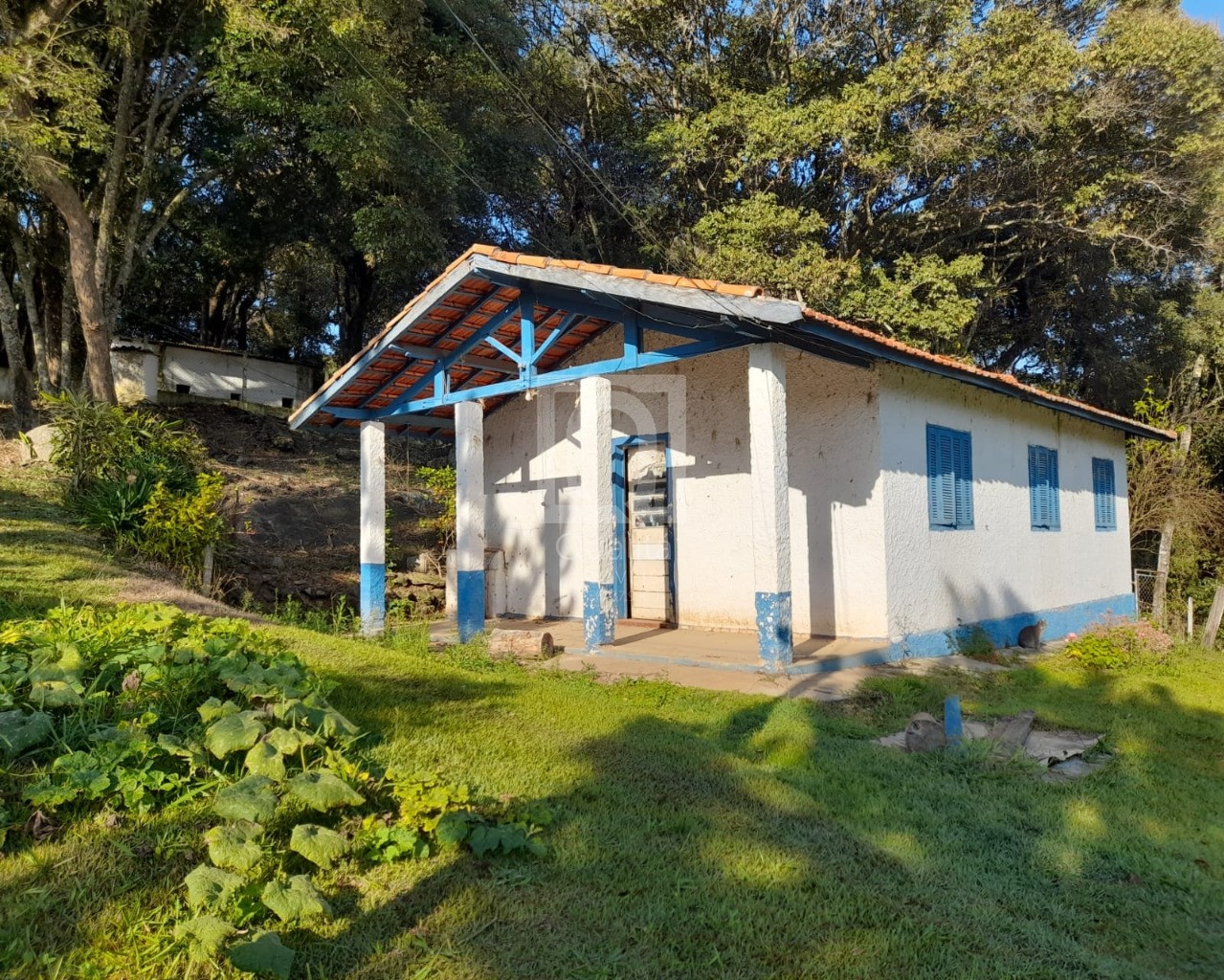 Terreno, 5850 m² - Foto 10