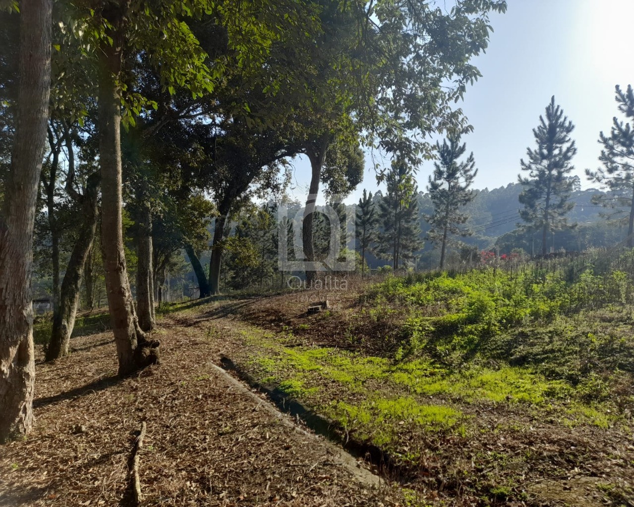 Terreno, 5850 m² - Foto 1