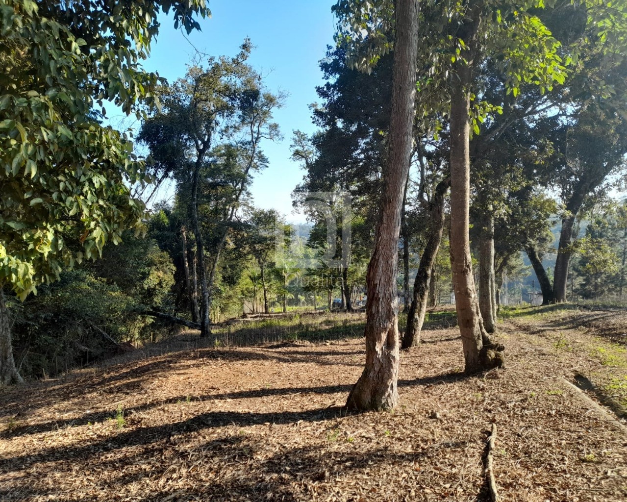 Terreno, 5850 m² - Foto 3