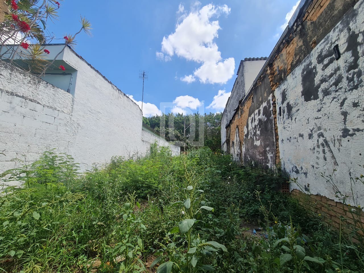 Terreno, 150 m² - Foto 1