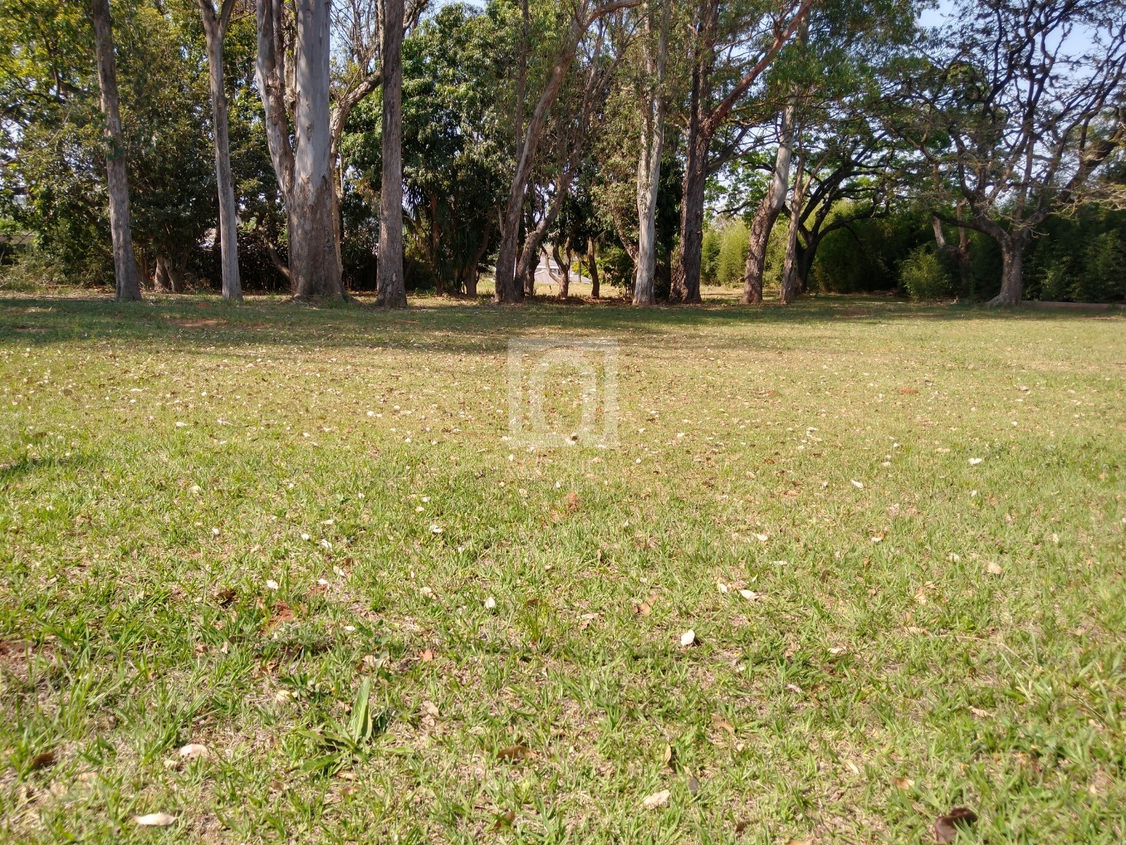 Terreno, 2000 m² - Foto 5