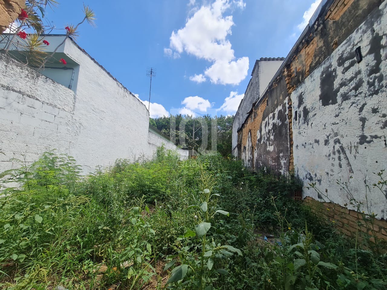 Terreno, 150 m² - Foto 2