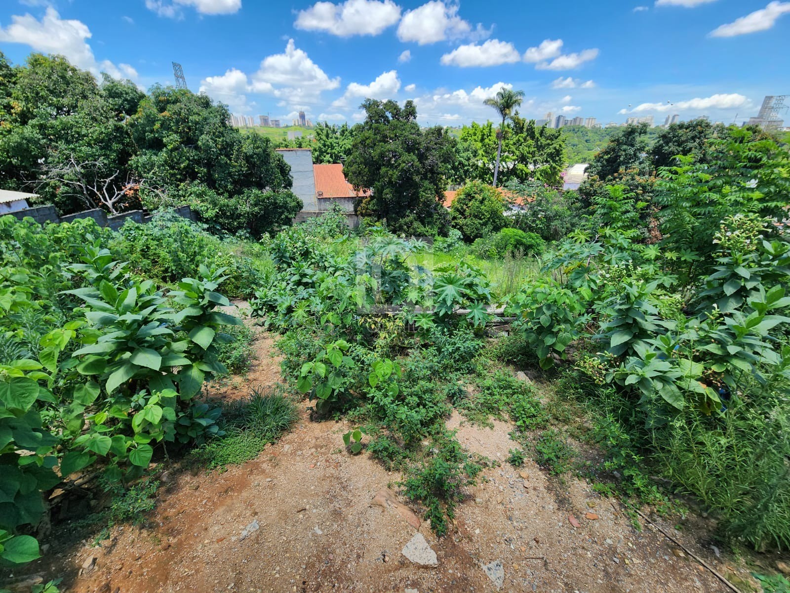 Terreno, 374 m² - Foto 4