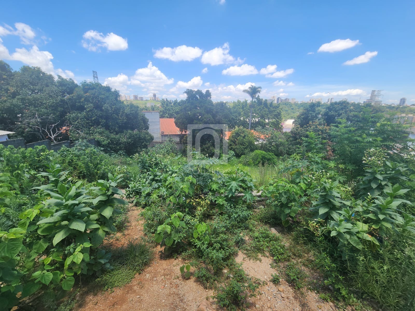 Terreno, 374 m² - Foto 5