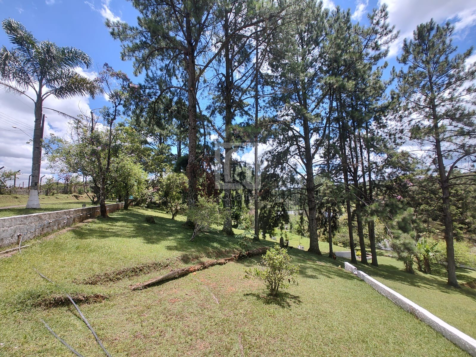 Sítio, 3 quartos, 6356 m² - Foto 35