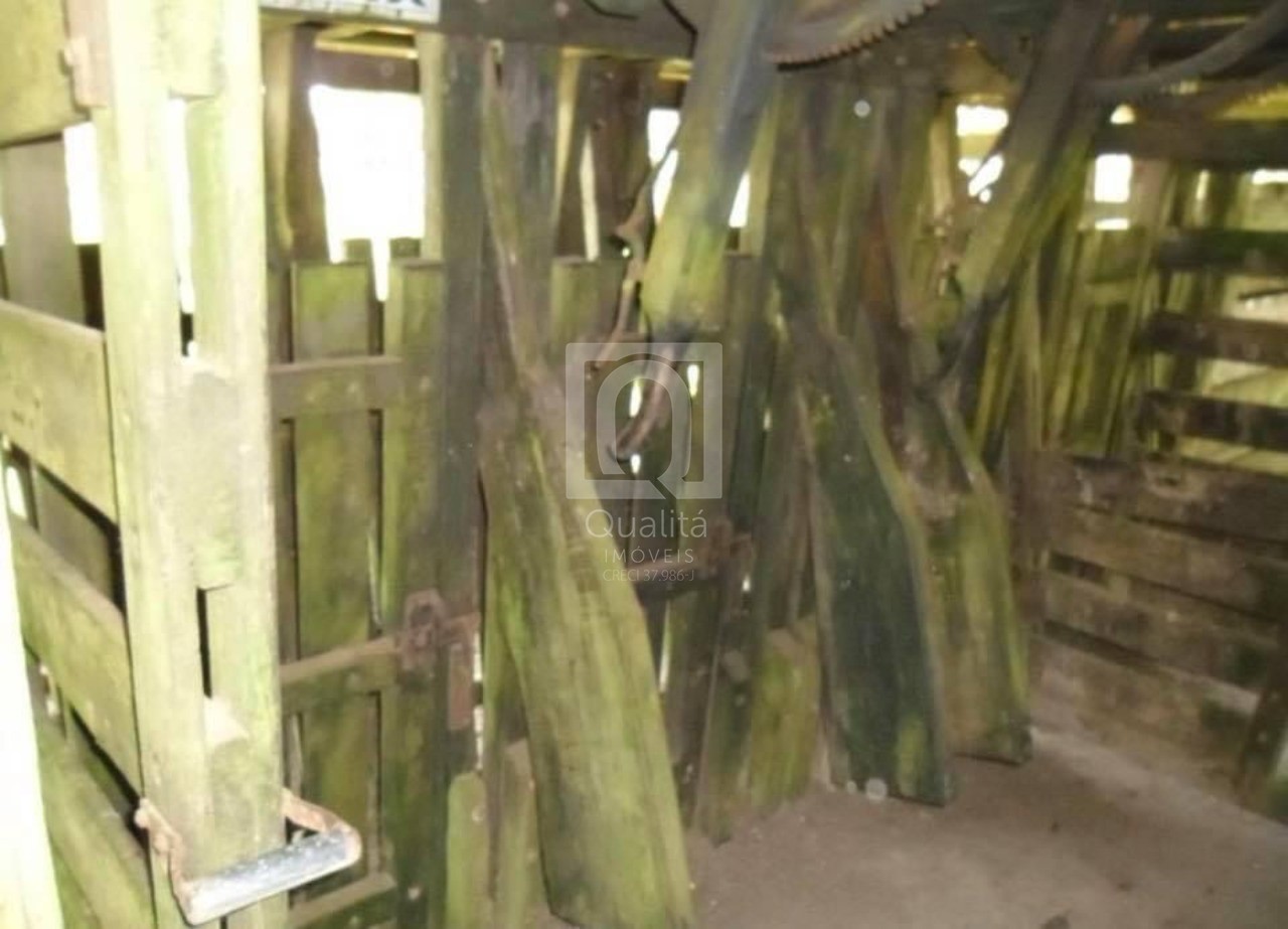 Fazenda, 50 m² - Foto 37