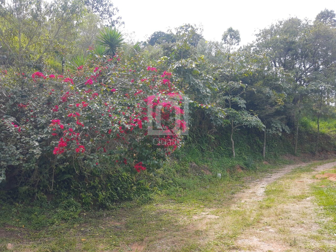 Chácara à venda com 4 quartos, 150m² - Foto 15