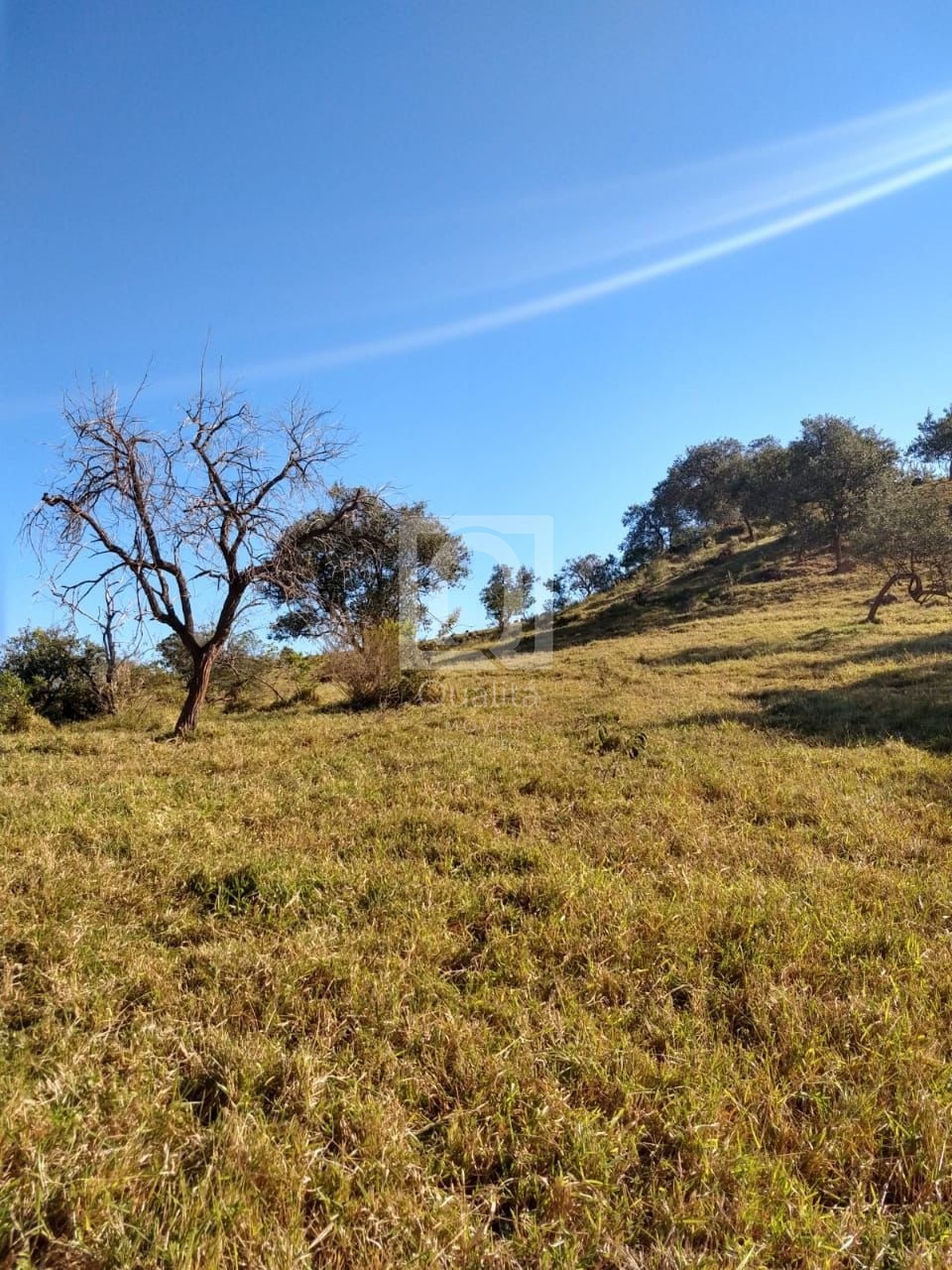 Loteamento e Condomínio à venda, 178400m² - Foto 10
