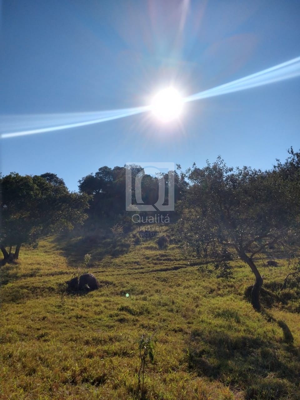 Loteamento e Condomínio à venda, 178400m² - Foto 6