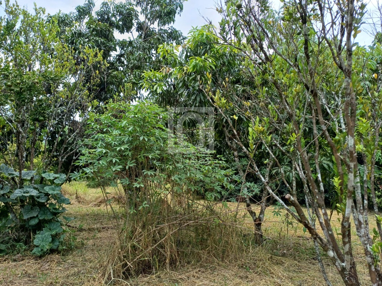 Chácara, 2 quartos, 5000 m² - Foto 16