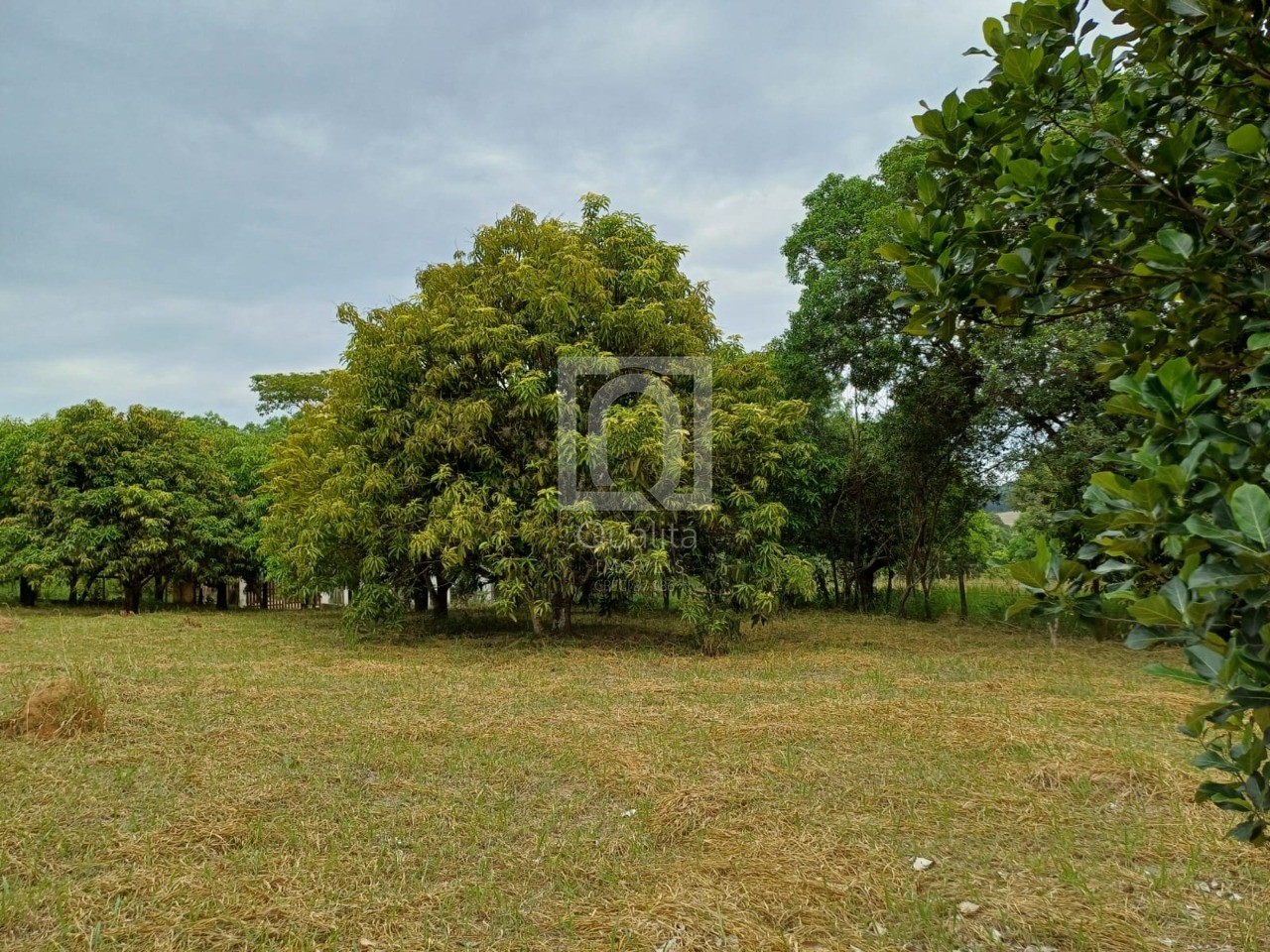 Chácara, 2 quartos, 5000 m² - Foto 17