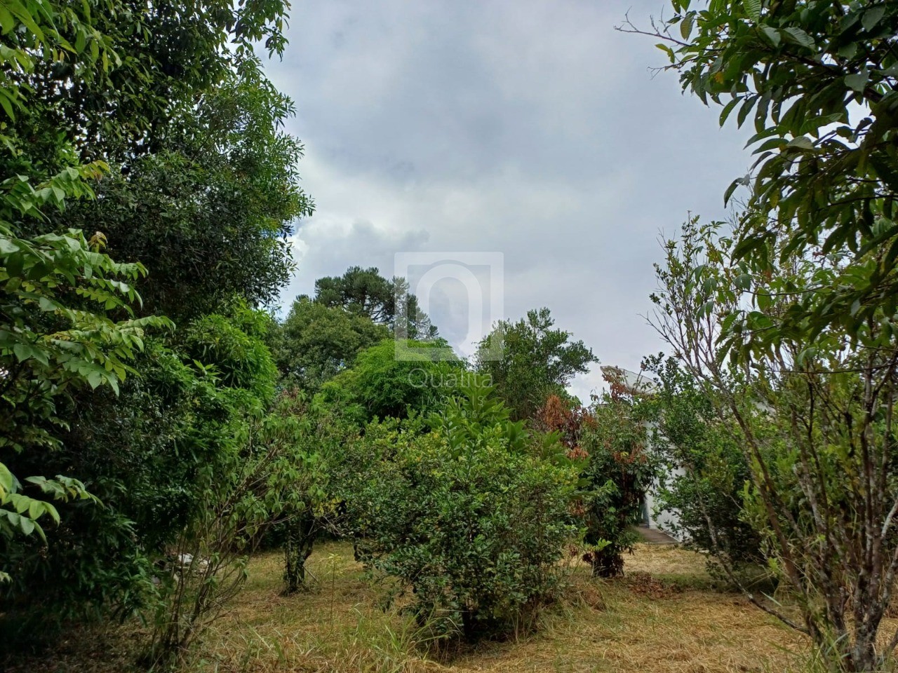 Chácara, 2 quartos, 5000 m² - Foto 15