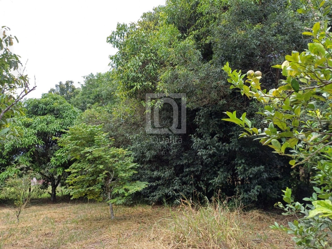 Chácara, 2 quartos, 5000 m² - Foto 21