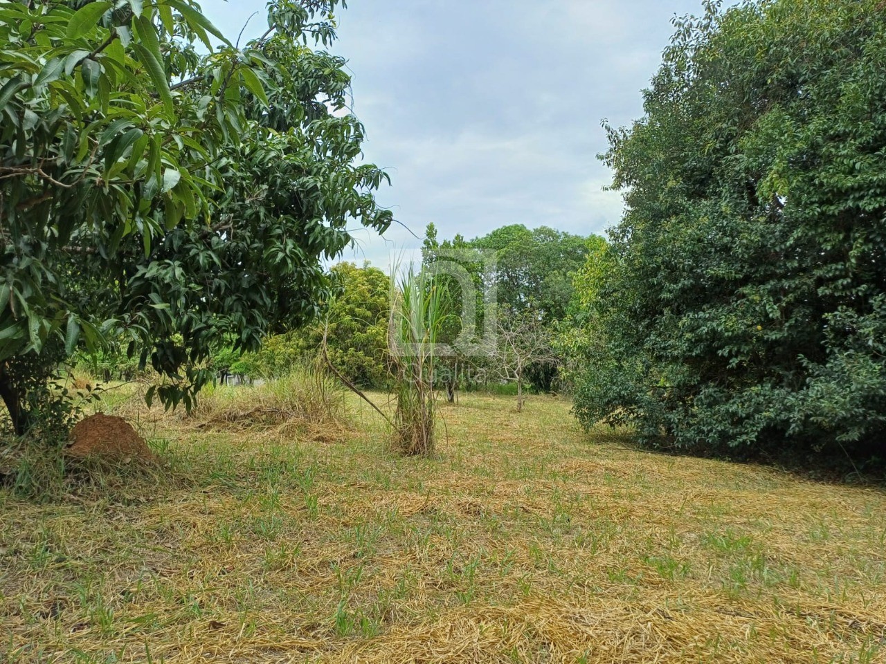 Chácara, 2 quartos, 5000 m² - Foto 18