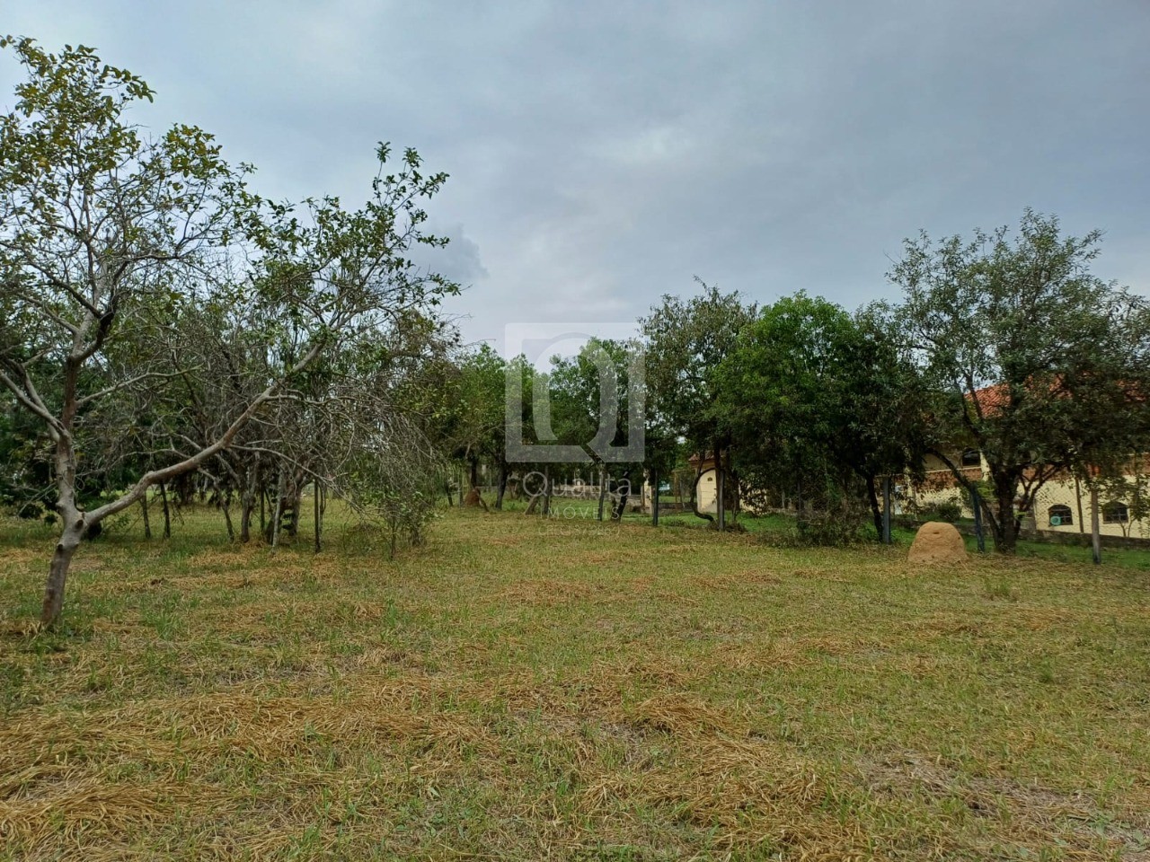 Chácara, 2 quartos, 5000 m² - Foto 11