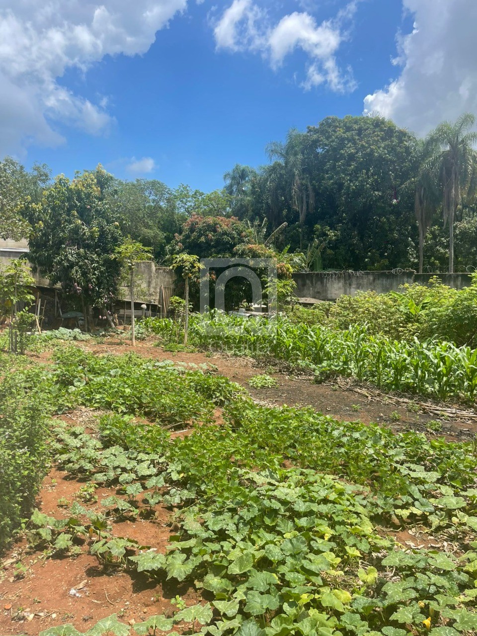 Chácara, 5 quartos, 1267 m² - Foto 22